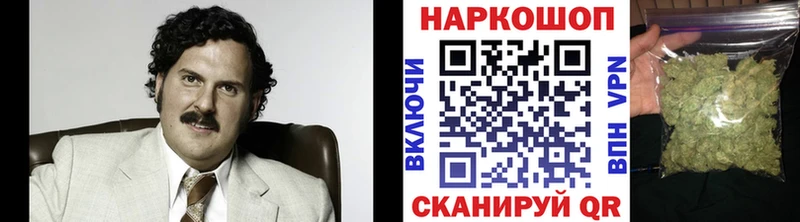 Купить закладку Каннабис  Alpha PVP  ГАШ  Меф мяу мяу  Спасск
