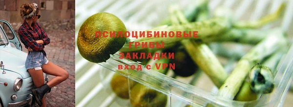 a pvp Каменск-Шахтинский