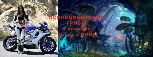 ALPHA PVP Каменка