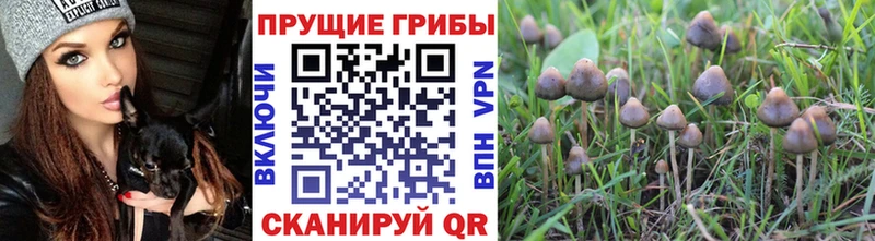 Псилоцибиновые грибы мухоморы  Купить  Спасск 